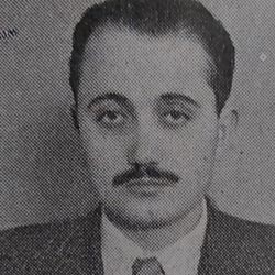 Hafız Hasan Gökdemir